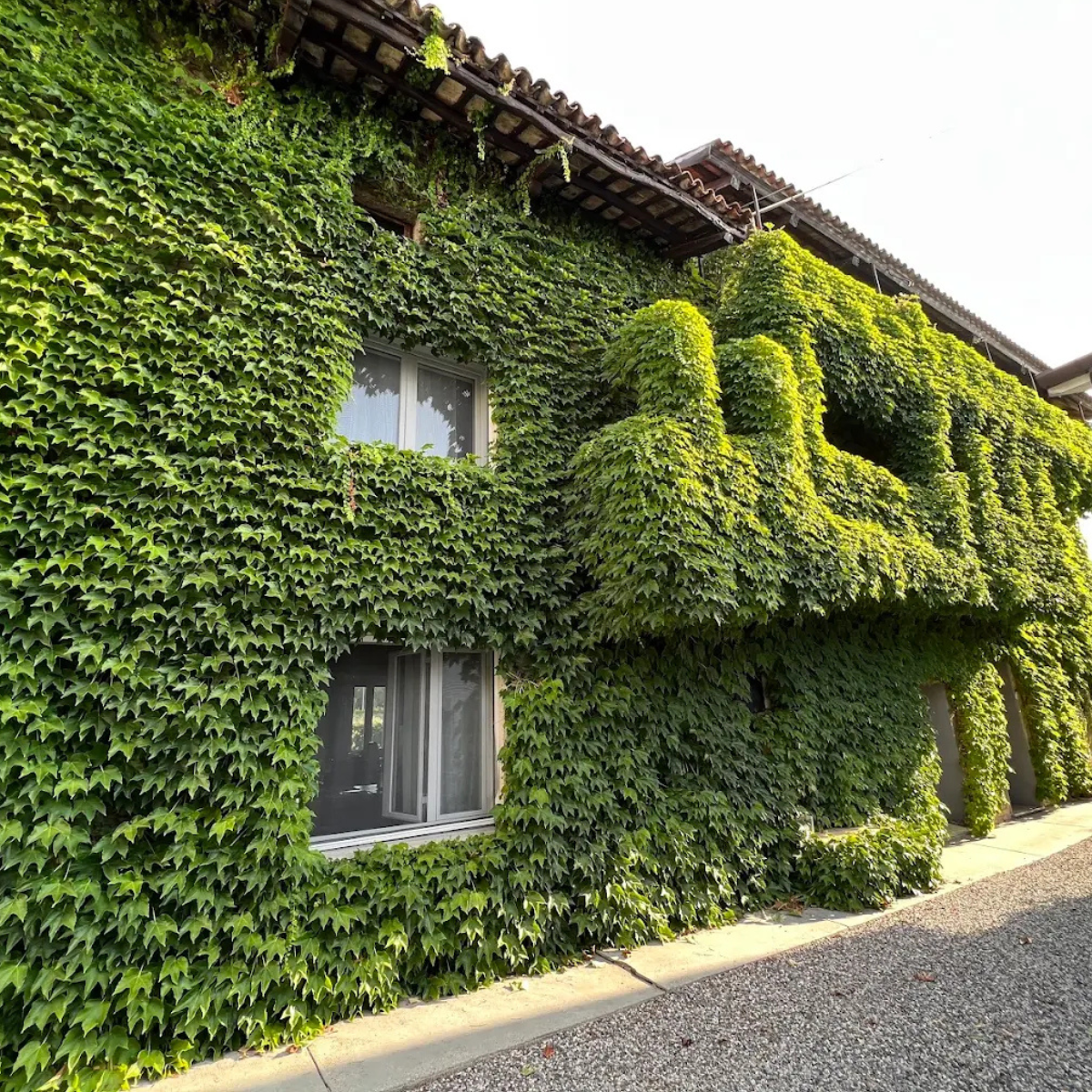 Progetto senza titolo (2)