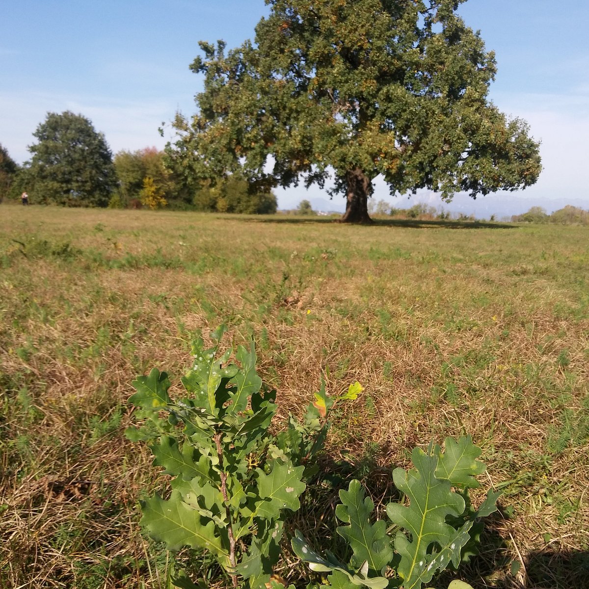 parco-del-beato-bertrando